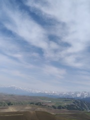 1000035707