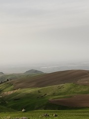 1000036315