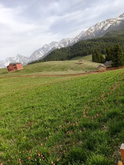 1000035935