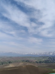 1000035709