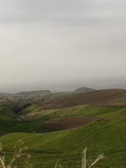 1000036311