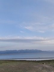 1000045132