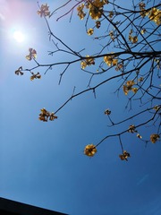 1000028580
