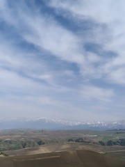 1000035712