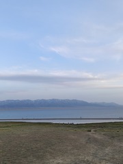 1000045131