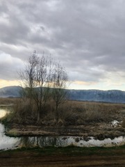 1000027607
