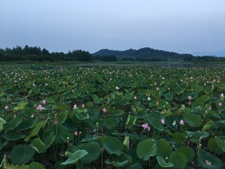 855