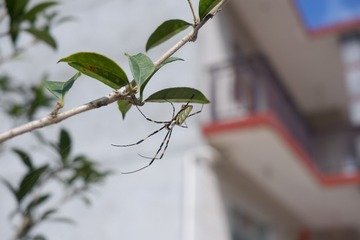 1000027583