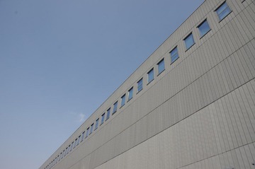 IMGP2306.JPG