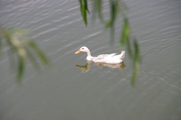 IMGP1428.JPG