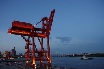 IMGP0784.JPG
