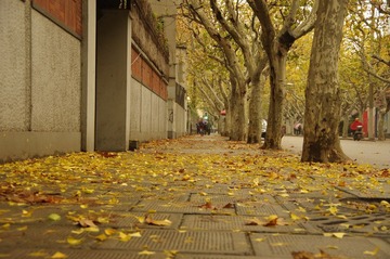 IMGP2429.JPG