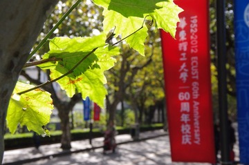 IMGP2294.JPG