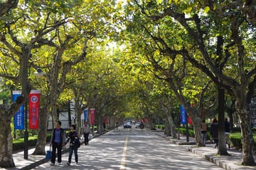IMGP2295.JPG