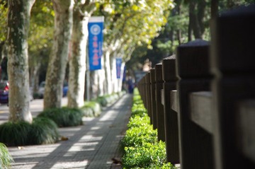 IMGP2300.JPG