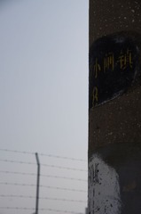 IMGP2877.JPG