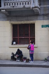 IMGP3297.JPG