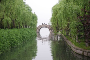 IMGP3379.JPG