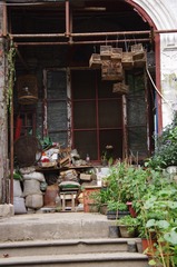IMGP4663.JPG