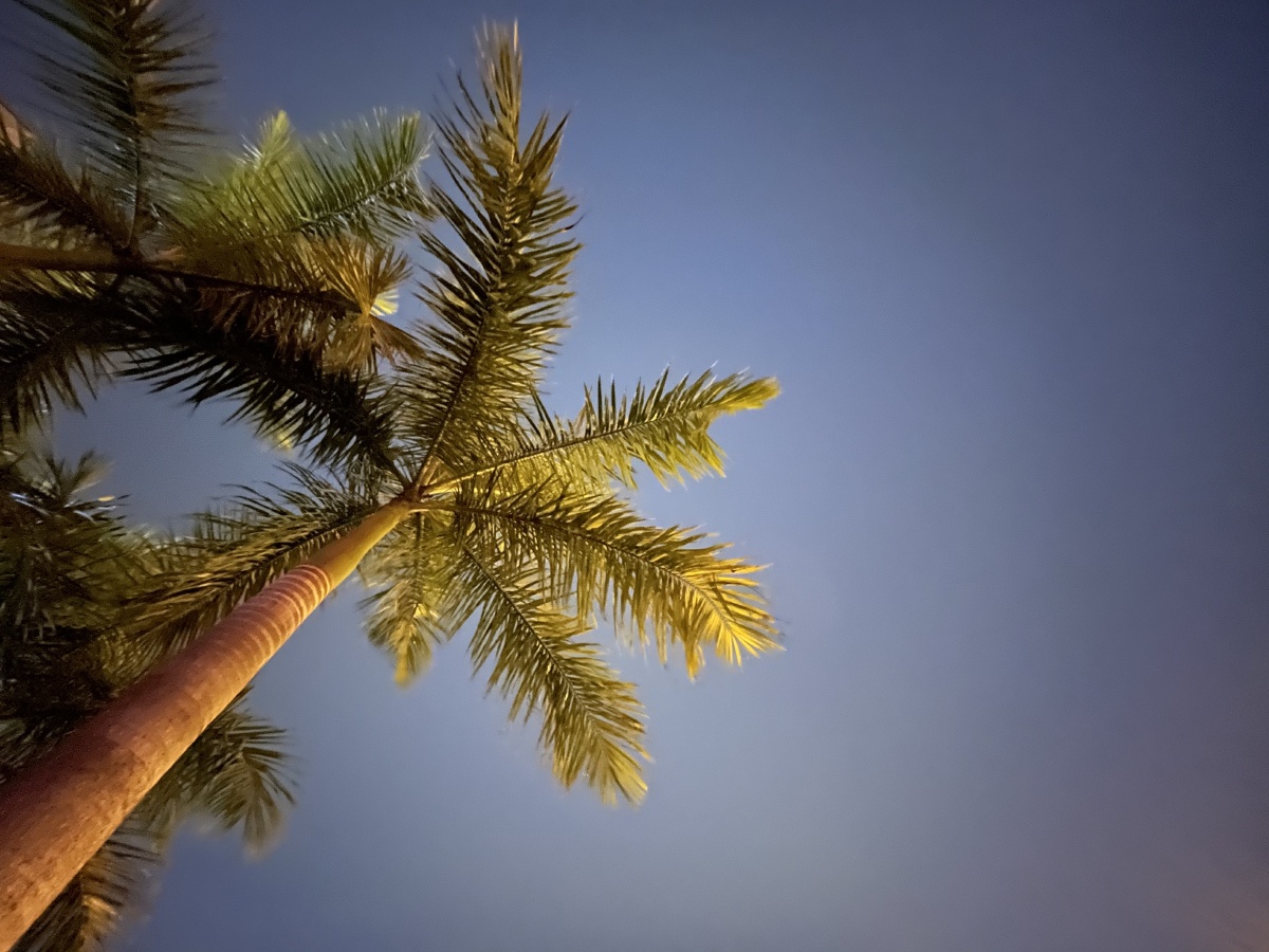 iphone12promax# 原图直出