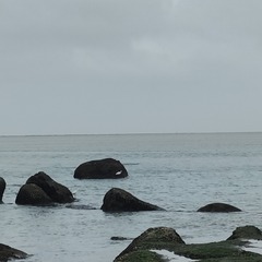 1000066032