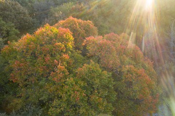 DJI_0317