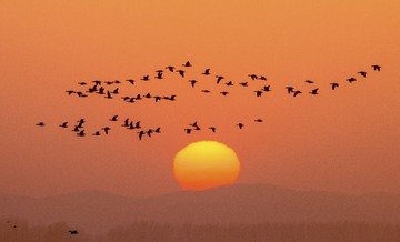 SUN_6578