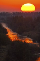 SUN_4733