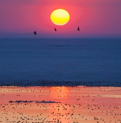 龙王庙夕阳-3