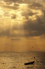 SUN_6562