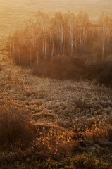 SUN_8571