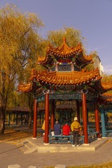 20063