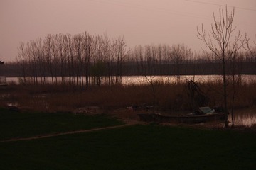 IMGP3132.JPG