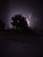 494329