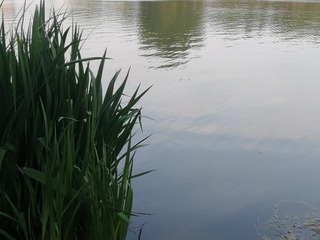 2180277