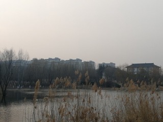 2155032