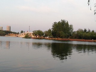 2180273