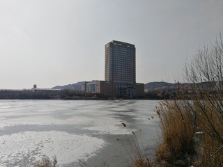 2154917