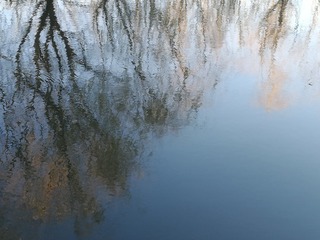 2095826