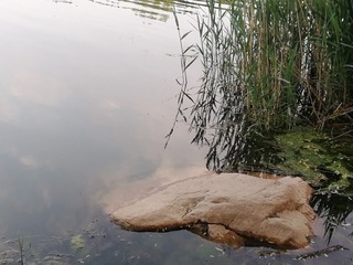 2180282