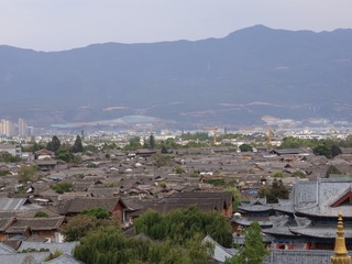 1000199076