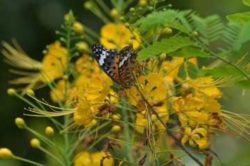 DSC_0140.JPG