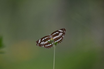 DSC_0155.JPG