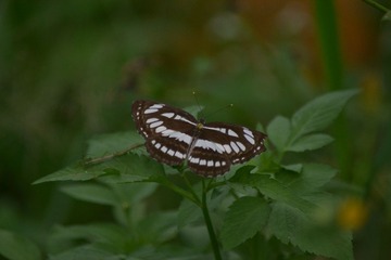 DSC_0181.JPG