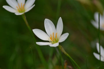 DSC_0040.JPG