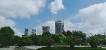 16029