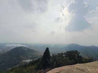 1000033310