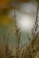 DSC03400.jpg