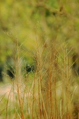 DSC03467.jpg