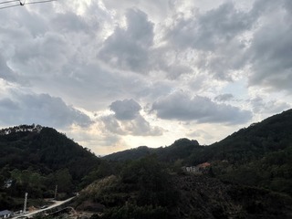 249462